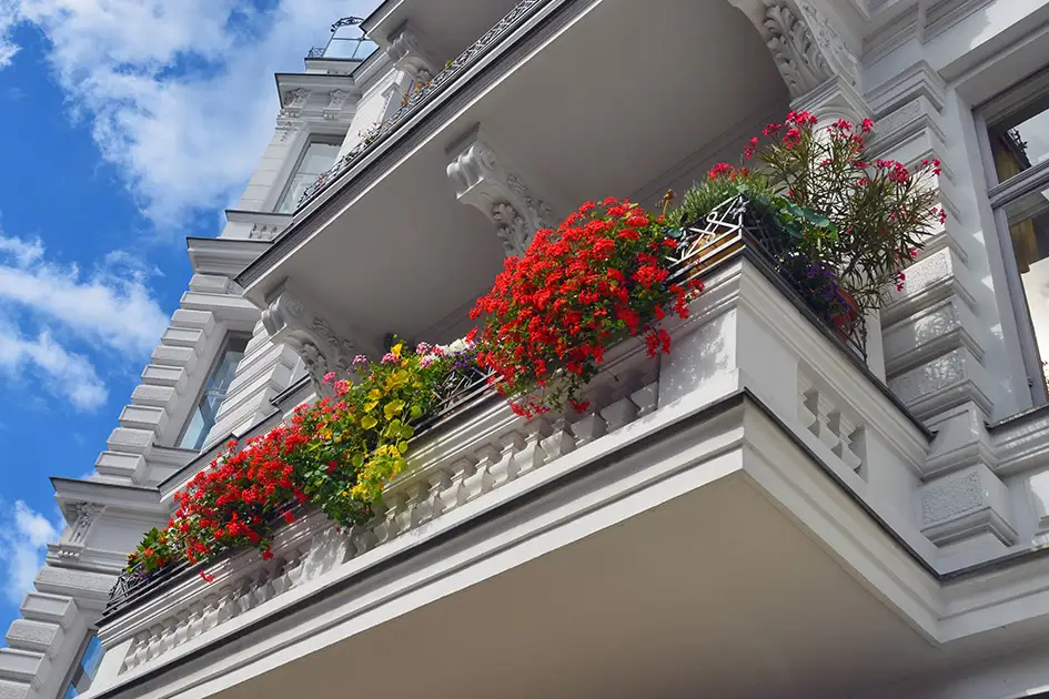 Blumen am Balkon einer Altbauwohnung