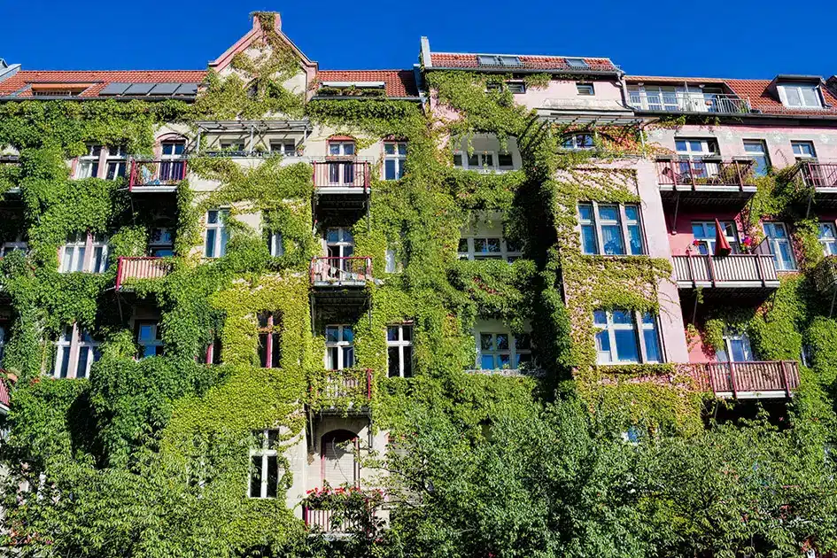 Weinlaub bewachsener Altbau